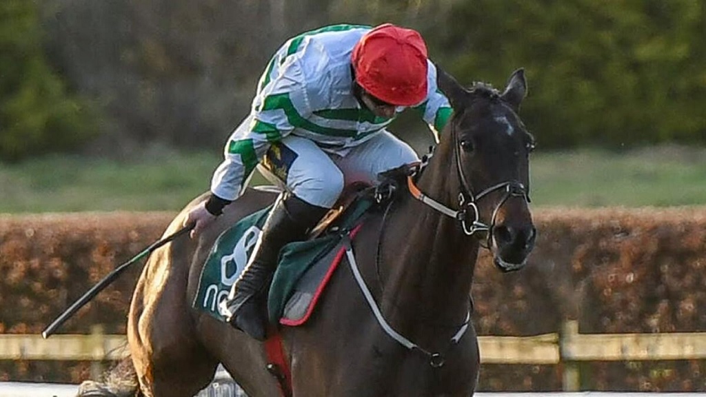 What Happened To Ginto Horse, How Did He Die? Cheltenham Death As Fans Are Mourning
